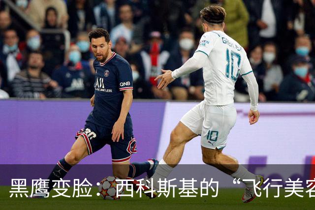 黑鹰变脸：西科斯基的“飞行美容术”和直-20的应战策略